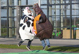 Order inflatable sumo suits in the Cow & Bull theme for both young and old. Buy inflatable sumo suits online at JB Inflatables UK