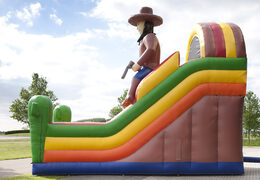 Beach themed multifunctional inflatable slide with a splash pool, impressive 3D object, fresh colors and the 3D obstacles for kids. Buy inflatable slides now online at JB Inflatables UK