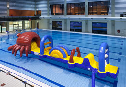 Order unique inflatable Obstacle Run in crab theme with challenging obstacle objects for both young and old. Buy inflatable water attractions online now at JB Inflatables America