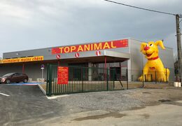 Mega Top Animal Yellow Dog Mascot Order. Buy blow-up promotionals online at JB Inflatables UK