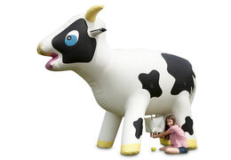 Limonade Koe Opblaasbaar