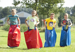 Get red and blue sack race bags for both old and young online now. Buy inflatable items online at JB Inflatables America