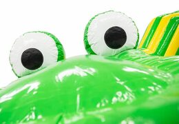 Buy a spacious crawl tunnel crocodile bouncy castle for kids. Order bouncy castles online at JB Inflatables UK