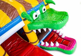 Buy indoor inflatable multiplay pirate bouncy castle with a slide and 3D objects for kids. Order bouncy castles online at JB Inflatables UK