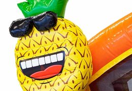 Buy inflatable multiplay bouncy castle in flamingo theme with connectable baths for children at JB Inflatables UK. Order bouncy castles online at JB Inflatables UK