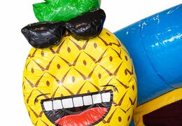 Buy inflatable multiplay bouncer in the theme flamingo with or without a bath for children at JB Inflatables UK. Order bouncers online at JB Inflatables UK