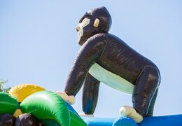 Buy a standard jungle bouncers in striking colors with a large gorilla 3D object on the top for children. Order bouncers online at JB Inflatables UK