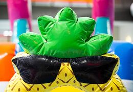 Opblaasbare waterstormbaan huren in flamingo thema voor kinderen