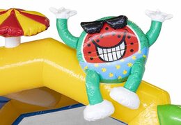 Order inflatable bouncy castle summer party theme with festive objects for children
