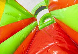 Crocodile Themed Inflatable Bouncer With Slide For Sale