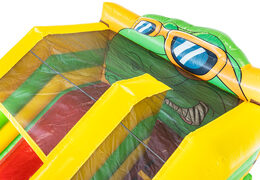 Order inflatable slide with bouncy castle section in dino theme for children