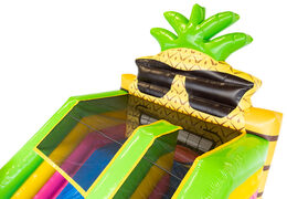 Kids Hawaii Theme Inflatable Bouncer With Big Slide For Sale