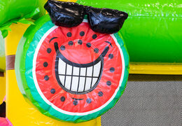 Order large inflatable bouncy castle in Flamingo theme for children. Buy inflatables online at JB Inflatables America