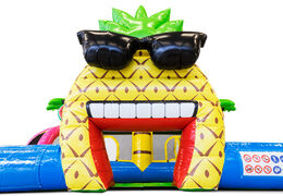 Buy Flamingo themed bouncy castle for kids. Order inflatables online at JB Inflatables America