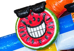 Order inflatable Mini Multiplay bouncy castle in theme Flamingo for children. Buy inflatable bouncy castles at JB Inflatables America