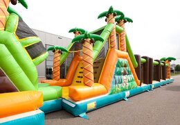 Palm trees and obstacles on striking bouncy castle