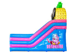 Order bouncy castle with slide in Hawaii theme at JB Inflatables