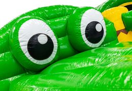 Order online bouncy castle with crocodile theme and 3D eyes