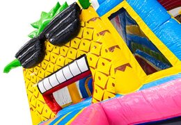 Order online bouncy castle with Hawaii flamingo theme and cheerful 3D pineapple with sunglasses
