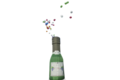 champagnefles.png
