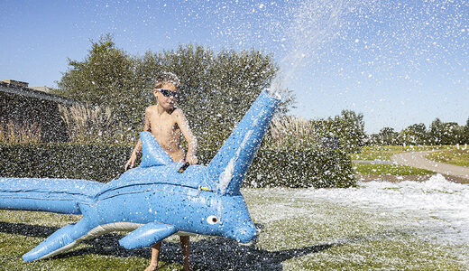 Opblaasbare schuim bubble dolfijn kopen voor kinderen