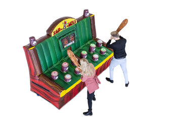 Zap a Mole interactive