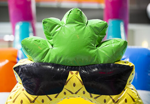 Flamingo Run obstacle course in a unique design for both young and old. Buy inflatable pool obstacle courses online now at JB Inflatables America