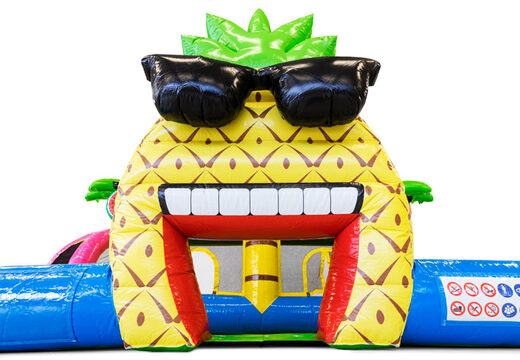 Buy Flamingo themed bouncy castle for kids. Order inflatables online at JB Inflatables America