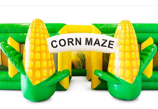 Corn maze