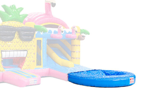 Buy online pool for double slide bouncy castles